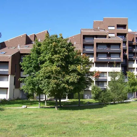 Magnifique 2 Pieces Avec Coin Nuit, Balcons Sud, Au Pied Des Pistes De - Fr-1-515-17 *